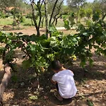Nyaraló Casa Giulia - Vacanze A Olbia