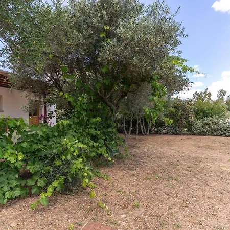 Casa Giulia - Vacanze A * Olbia