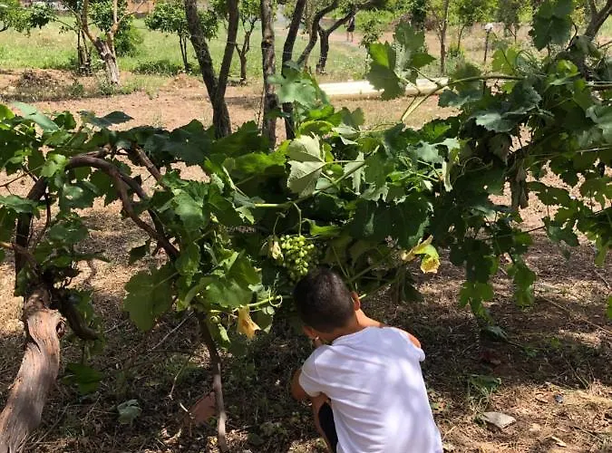 Nyaraló Casa Giulia - Vacanze A Olbia