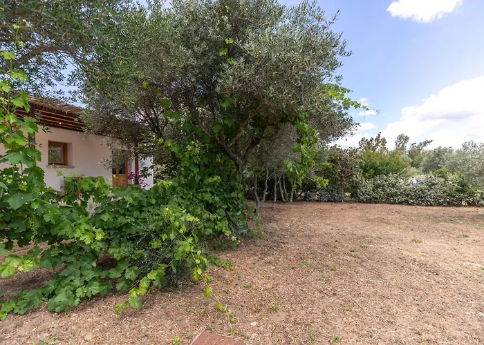 Casa Giulia - Vacanze A * Olbia